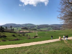 Panorama